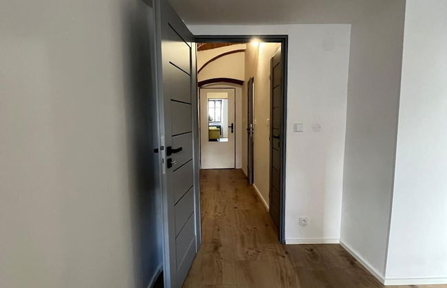 Family Apartments Černice - Foto 19