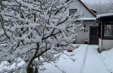 Ferienhaus Andrea am Bodetal - Foto 44