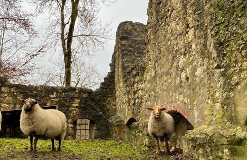 Ferienwohnung am Kappenturm - Foto 10