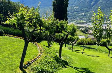 Profumo Di Legno, PaLù vacanze - Foto 29
