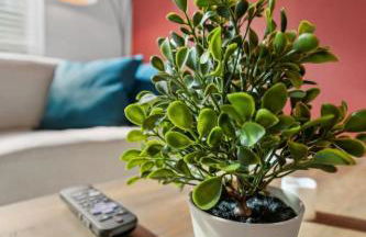 Intimate 2BD TCU Walkable - Foto 9