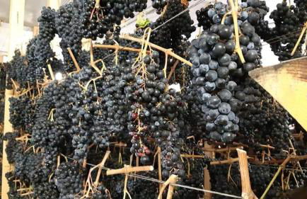 Casa Vacanza "Corso Olmo" - Foto 40