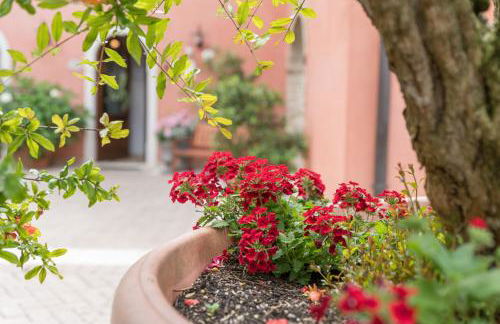 Agriturismo Corte Morandini - Foto 65