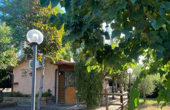 Country house in Maremma Villa Mafalda - Foto 2