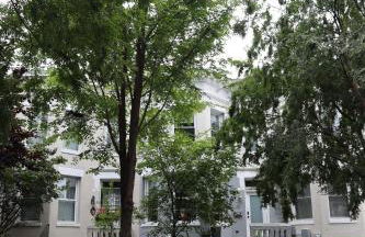 Amazing Large 4 Bedroom 3 Bathroom Home in Downtown DC Walk Everywhere - Foto 53