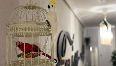 Enjoy Ávila -LA CATEDRAL - Foto 4