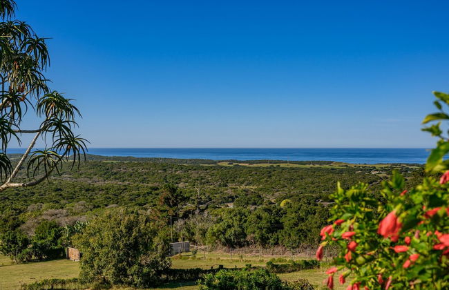 Sea Studio - Sea-facing - Foto 35