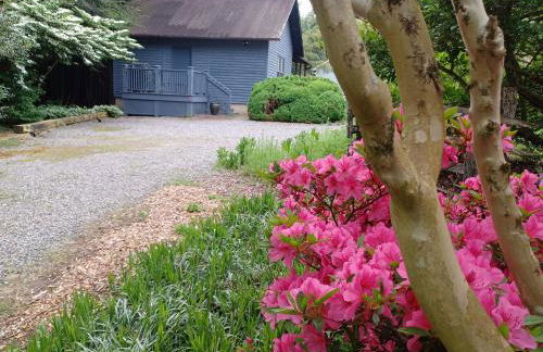 Restored1850s log cabin, with gazebo and gardens! 1 mile to downtown Weaverville - Foto 60