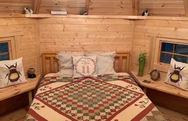 Starry Meadow - Foto 53