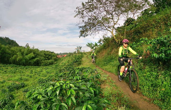 Tour en bicicleta por las montañas de Salento - Foto 1