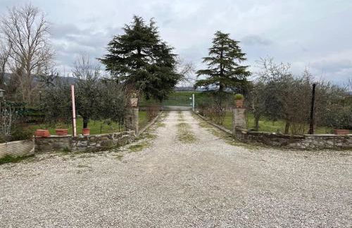 Agriturismo - La capra amaltea - Foto 44