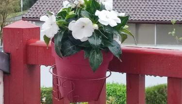 Location de charme T3 au 2e étage et dernier étage - Foto 2