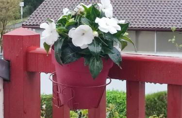 Location de charme T3 au 2e étage et dernier étage - Foto 2