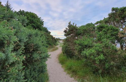 Cromla Cottage - Photo 45