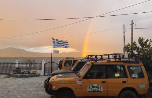 Sea front house & garden, Oropos - Foto 20