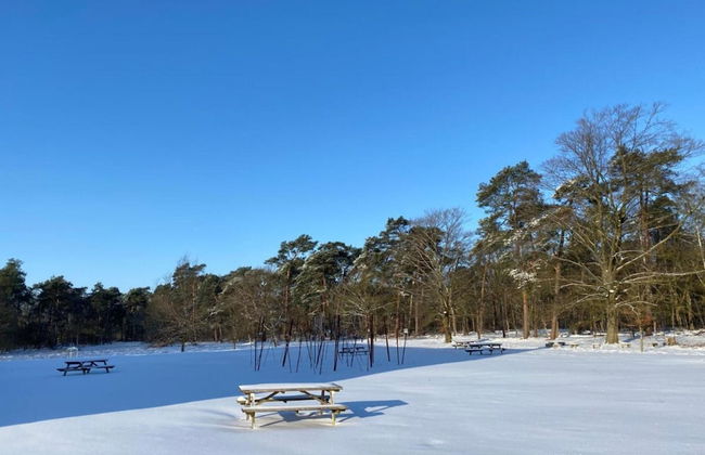 Cottage in Leenderbos Near Nature Reserve - Photo 27
