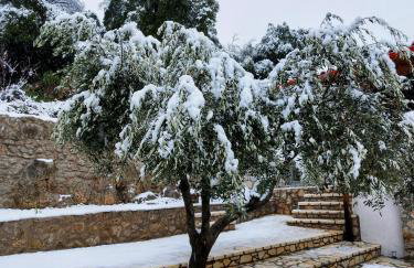 Lilea Elia & Petra - Foto 30