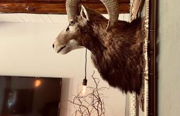 Chalet Sch-l-afbock - Photo 6