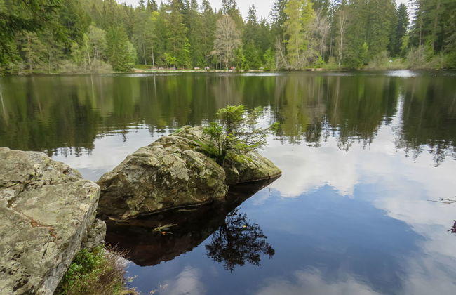 Haus Ganter - Foto 19