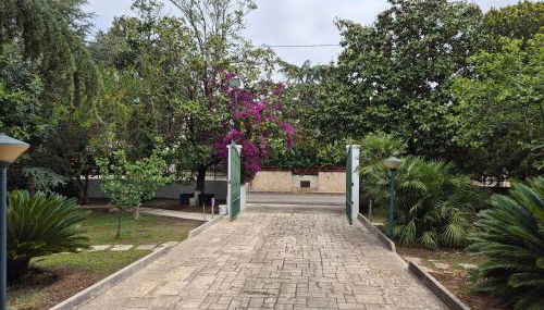 Villa Magnolia - Foto 2, Garden