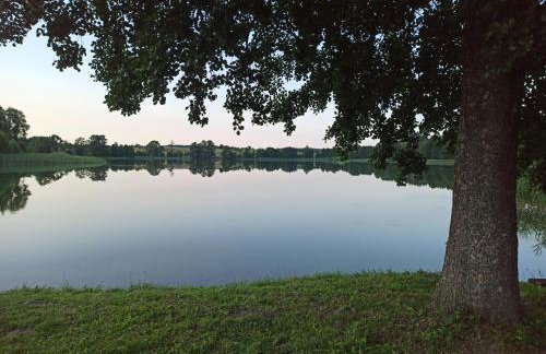 Dom w lesie - Foto 18