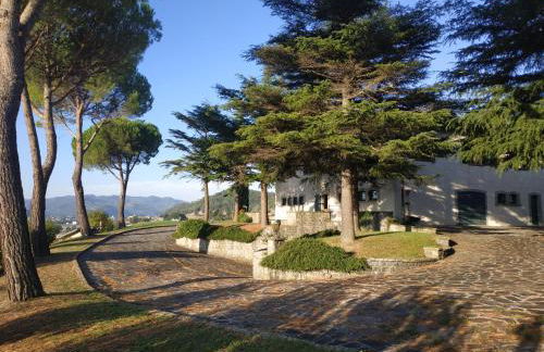 Villa Paola Holidays - Foto 18