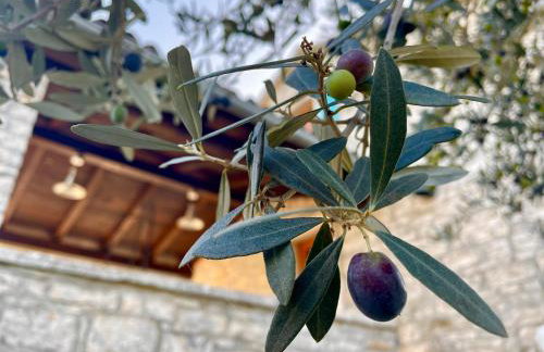 Villa Azzurra - Photo 21