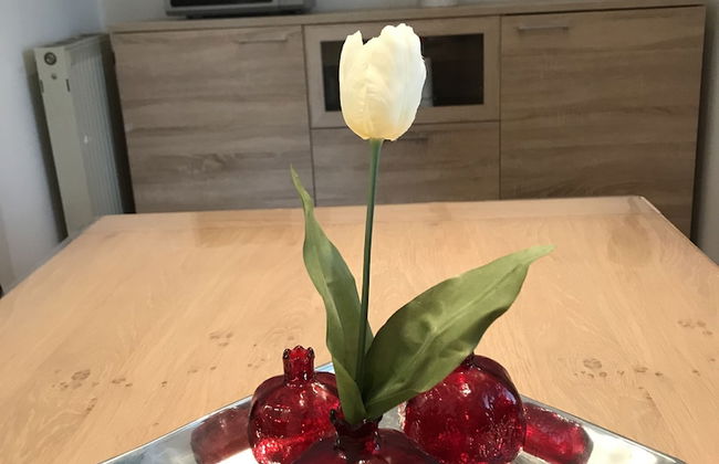 Ganzes Haus Nähe Köln Messe-Airport-City - Foto 42