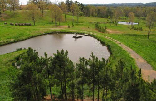 The Prancing Pony Guest House at Edendell - Foto 32