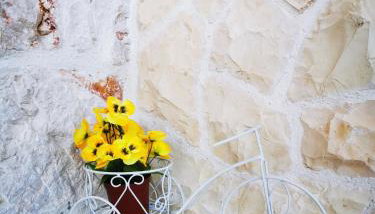 House Natalija - Foto 4