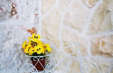 House Natalija - Foto 4