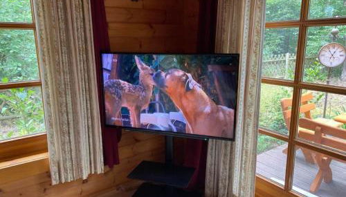 Holiday Home WaldhausEichhörnchen by Interhome - Foto 4