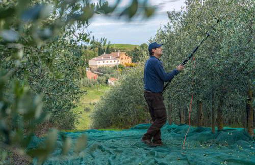 Agriturismo Renello - Foto 35