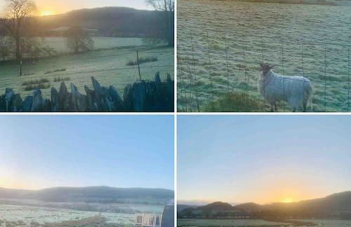 The Pod Over By - Foto 22