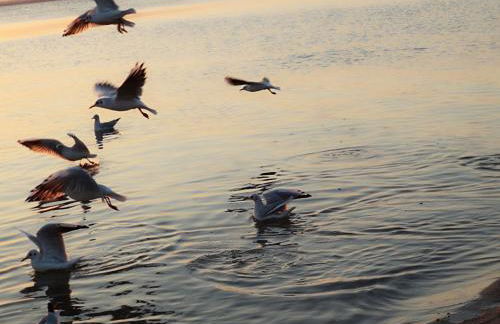 "El Remanso" - Foto 53