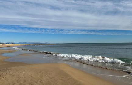 Sol de mar, La Mata (Hiszpania) - Foto 45