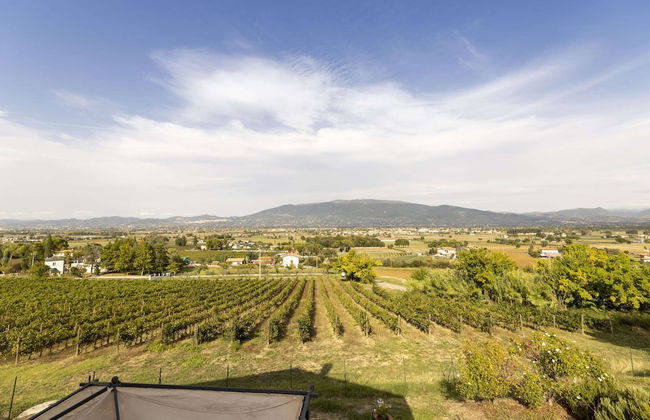 Classic Villa for Family With Pets - Photo 37