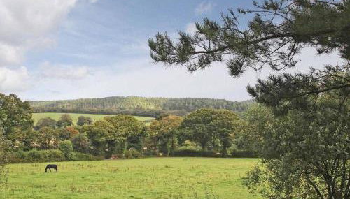 Dairy Cottage - Foto 3