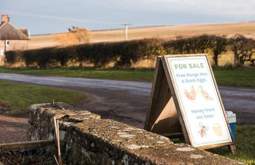 Swallow's Nest, farm get away with hot tub - Foto 39