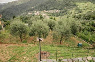 8 beds- surrounded by greenery with parking - Foto 31