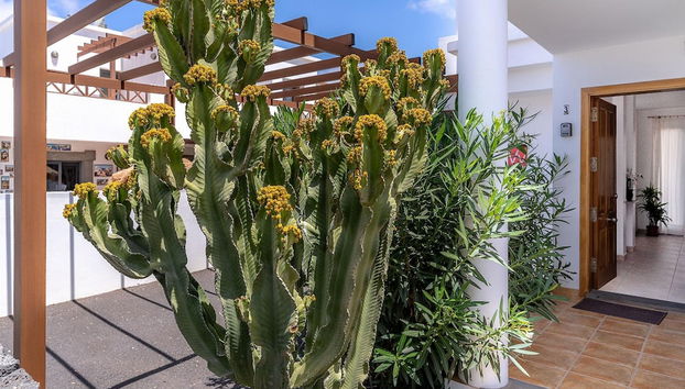 Villa El Varadero in Playa Blanca - Foto 3, Habitación