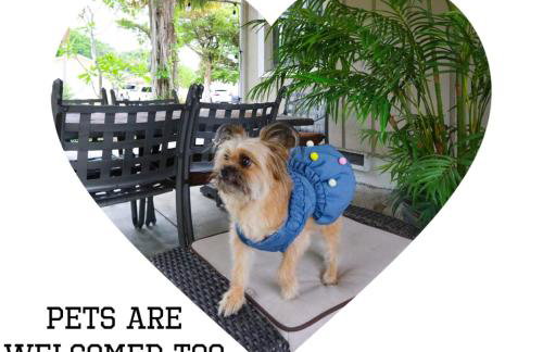 Wellington Garden - Foto 20