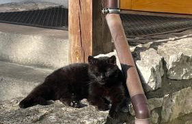 Agroturystyka Dom Wśród Sosen - Foto 78