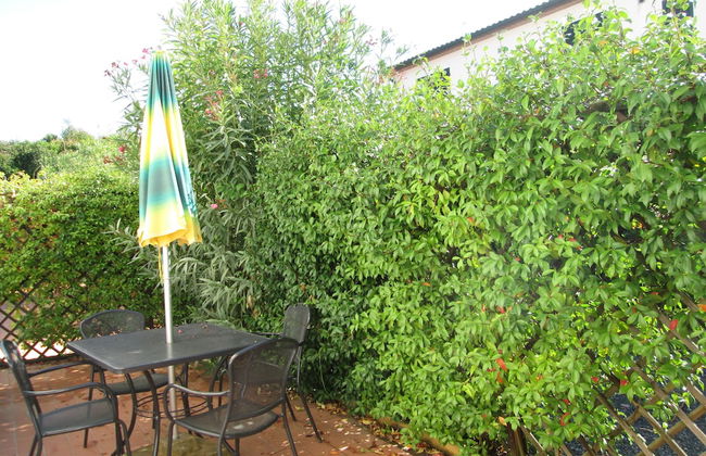 Fattoria La Steccaia - Foto 30