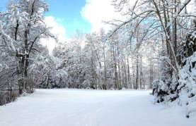 Bayerwald-Ferienhof Schmid - Foto 25