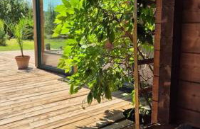 Ökologisches Hideaway mit Sauna und großem Garten - Foto 9
