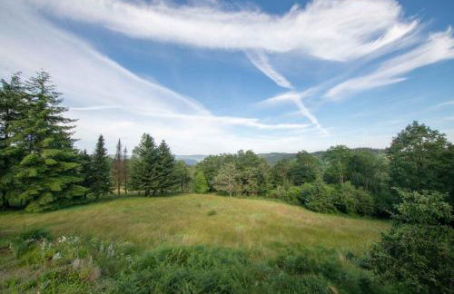 Le chalet de l'amicale - Foto 27