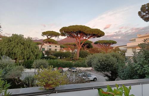 Casa Olivella - Foto 25