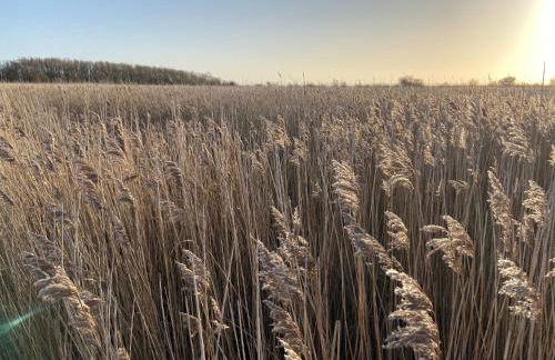 Ferienhaus Sundowner FH6 - Foto 20