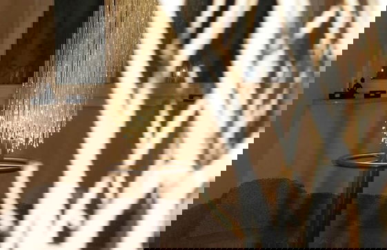 Villa Anina - Photo 6